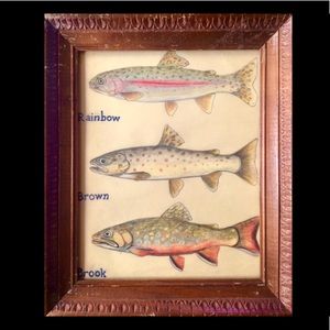 Trout, Original Art on Vintage Paper